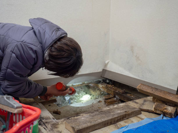 Best Air Quality Testing for Mold Spores  in Harriman, TN