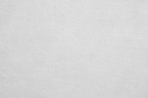 Best Basement Mold Removal  in Harriman, TN